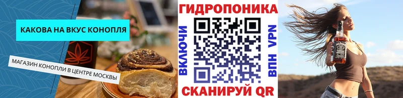 Cannafood конопля  OMG онион  Кедровый 