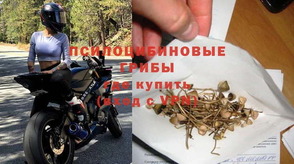 шишки Богородск