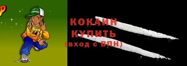 стафф Богородицк