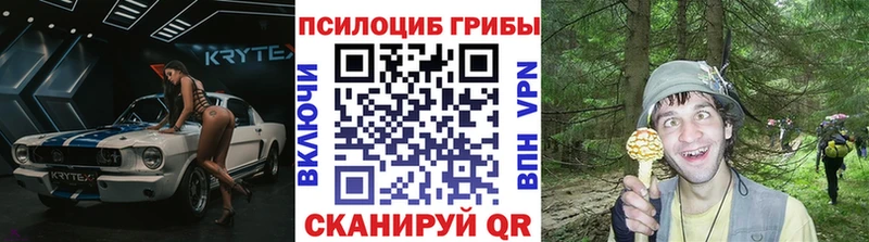 mega ONION  купить наркоту  Кедровый  Псилоцибиновые грибы MAGIC MUSHROOMS 